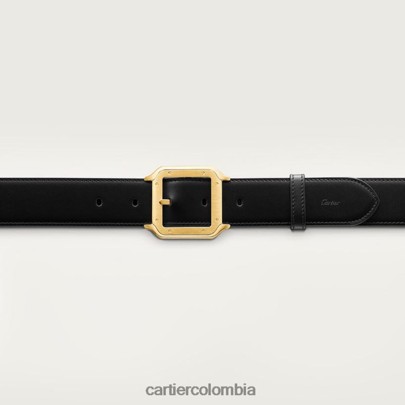 accesorios Cartier cinturón, santos elegante V0HXJN1375