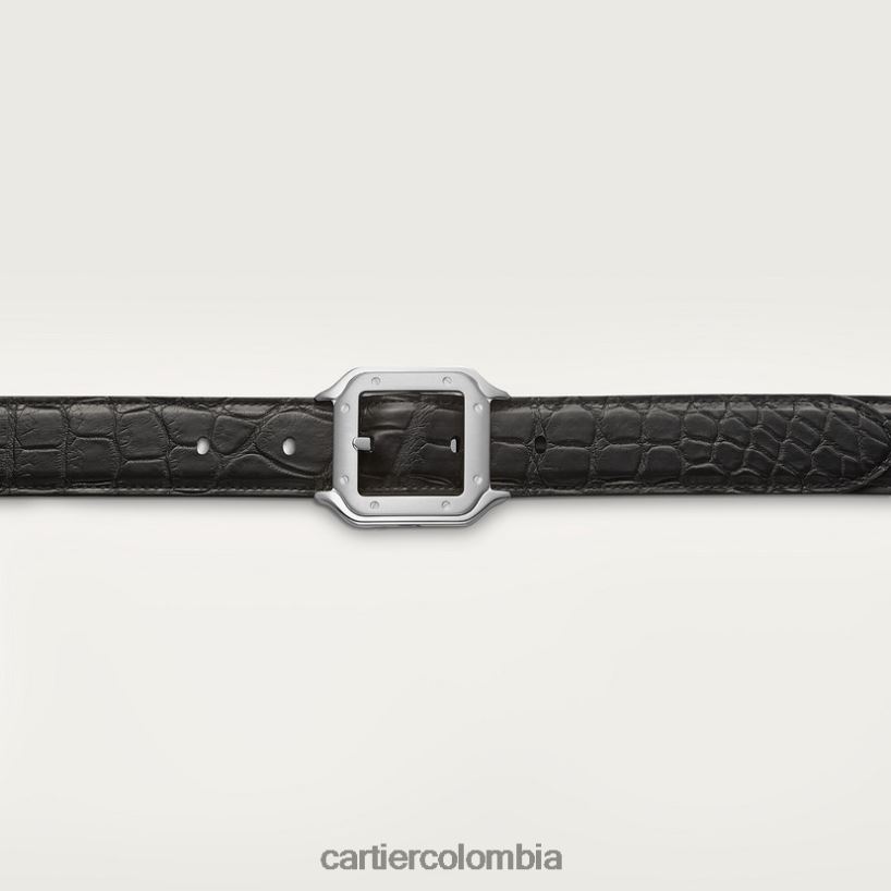 accesorios Cartier cinturón, santos elegante V0HXJN1377