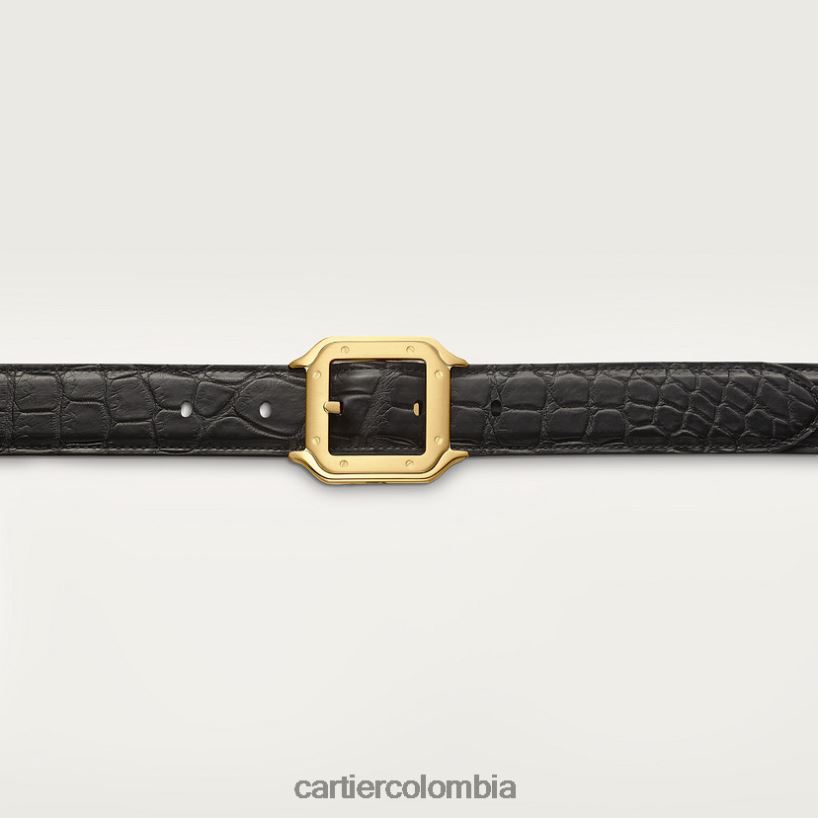 accesorios Cartier cinturón, santos elegante V0HXJN1385