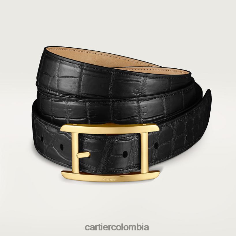accesorios Cartier cinturón, tanque elegante V0HXJN1386