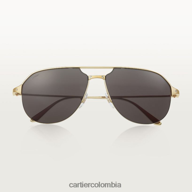 accesorios Cartier gafas de sol santos elegante V0HXJN1565