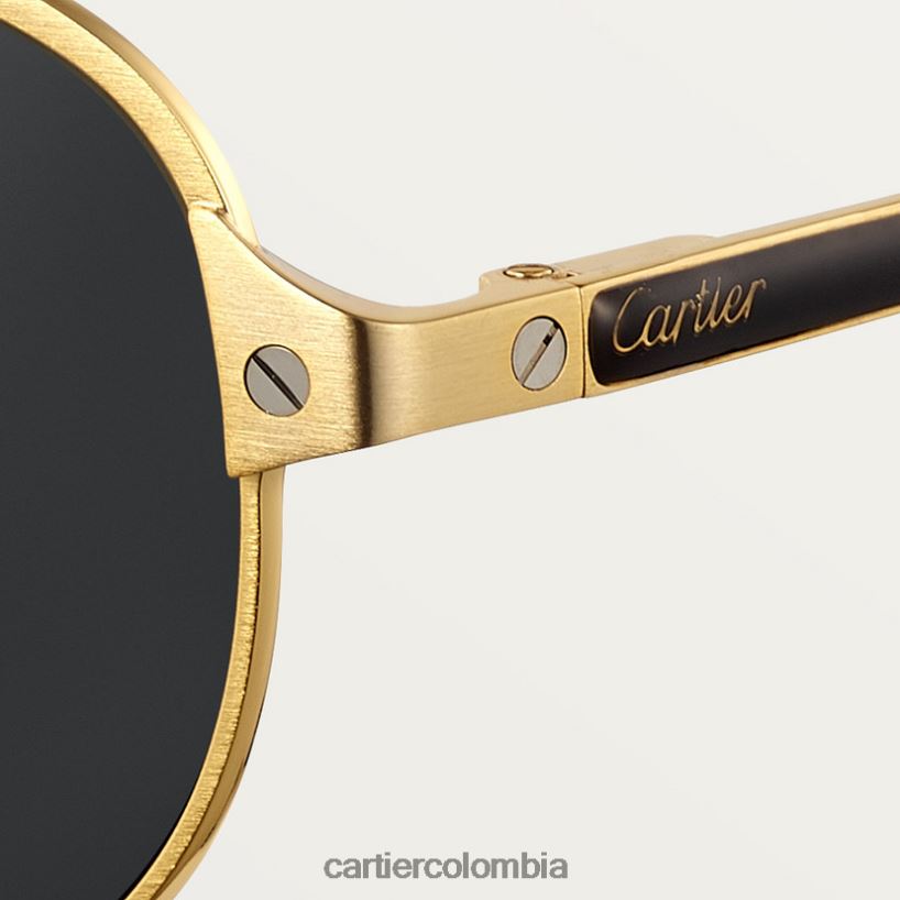 accesorios Cartier gafas de sol santos elegante V0HXJN1569