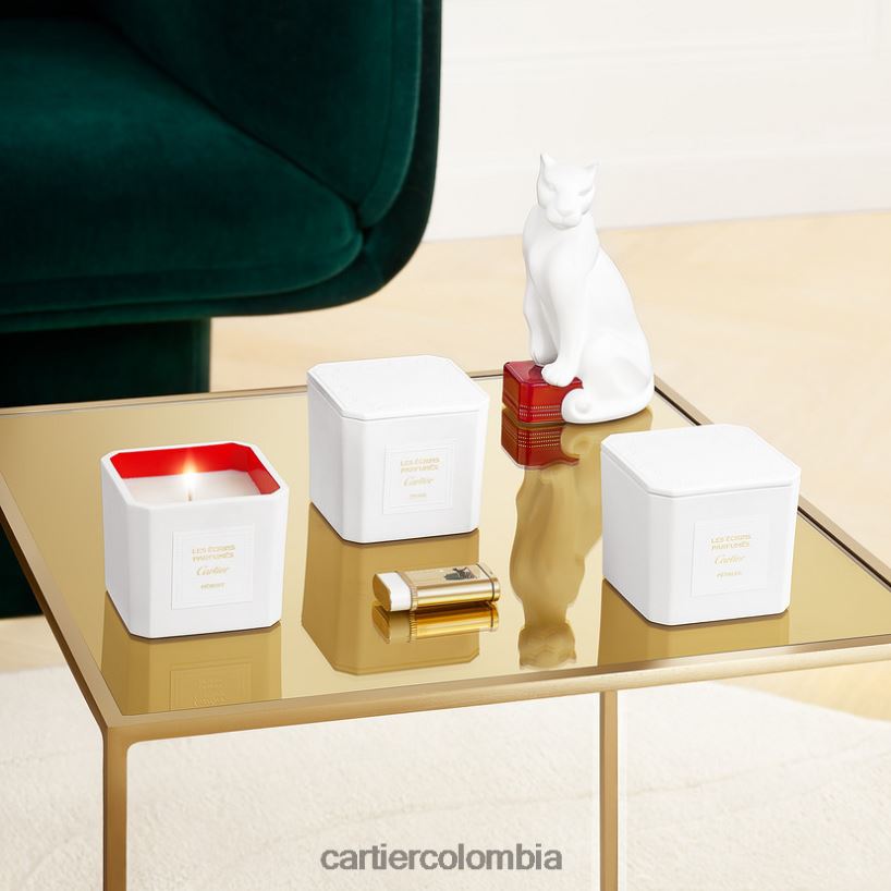 accesorios Cartier pantera encendedor elegante V0HXJN1516