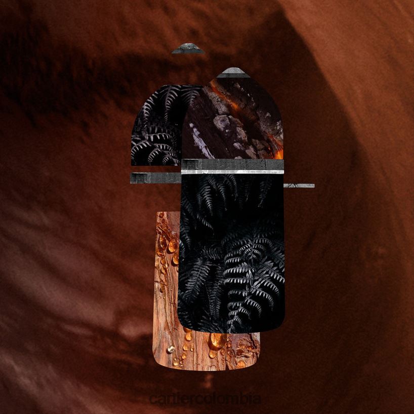 accesorios Cartier pachá negro absoluto elegante V0HXJN1839