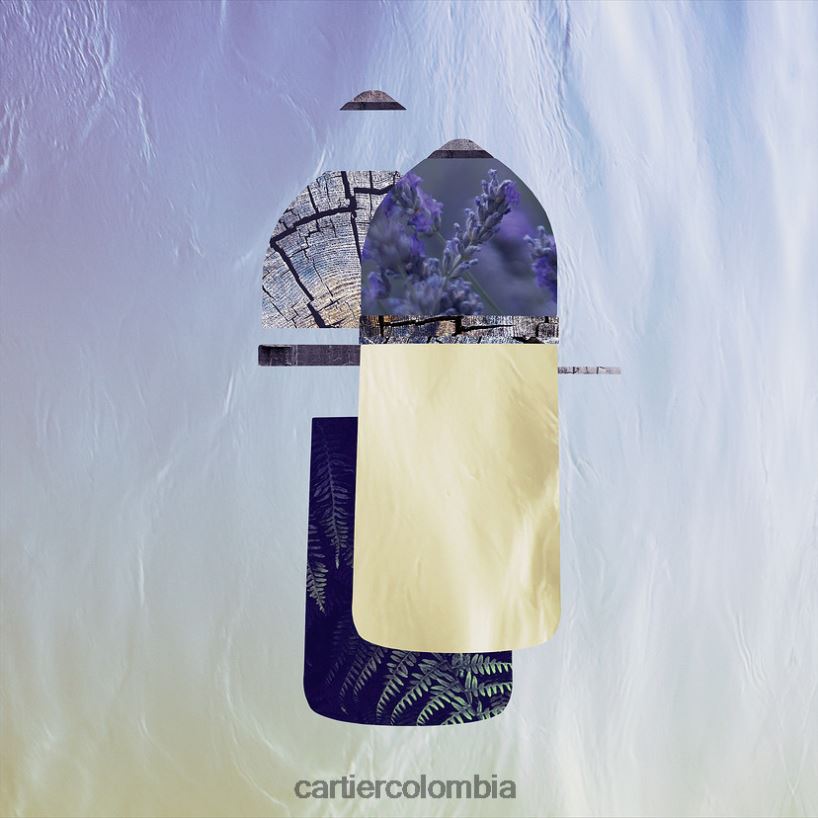 accesorios Cartier pasha edt 100ml elegante V0HXJN1815