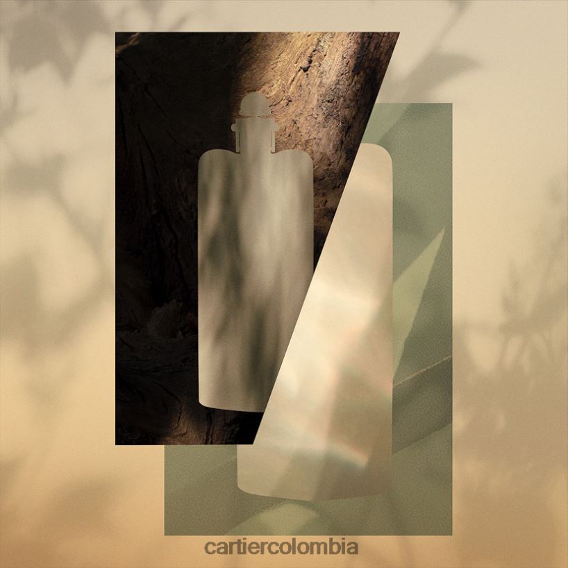 accesorios Cartier declaración eau de toilette elegante V0HXJN1807