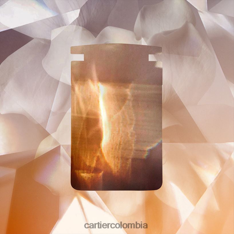 accesorios Cartier Paquete de recarga de fragancia oud & ambre, 2 x 30 ml elegante V0HXJN1873