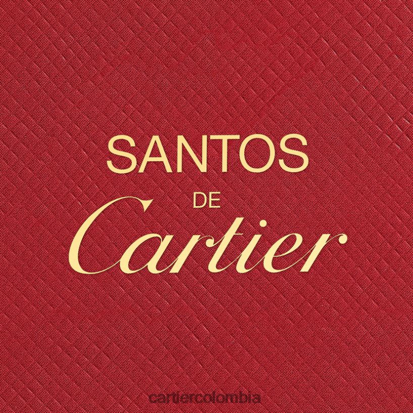 accesorios Cartier les necessaires a parfum santos eau de toilette pack recambio 2x30 ml elegante V0HXJN1857