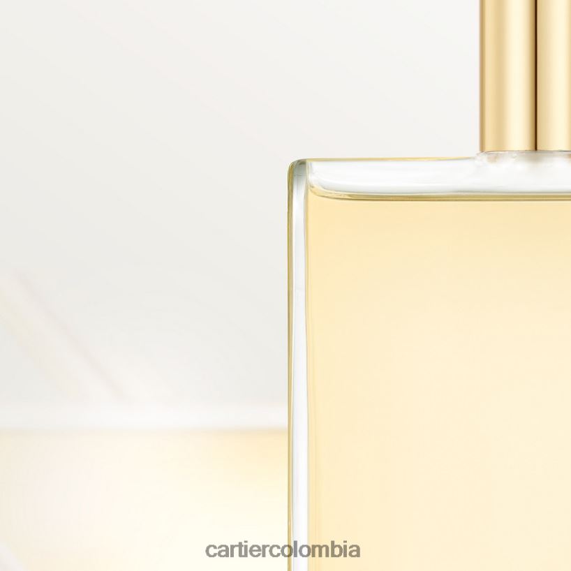 accesorios Cartier les necessaires a parfum santos eau de toilette pack recambio 2x30 ml elegante V0HXJN1857