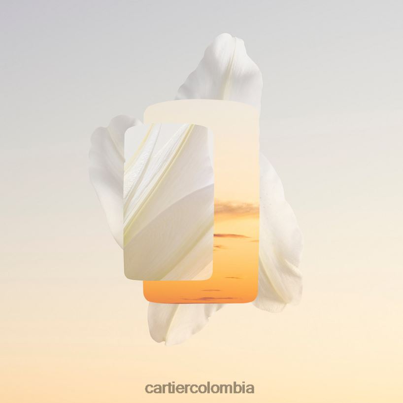 accesorios Cartier perfume baiser campañol elegante V0HXJN1827