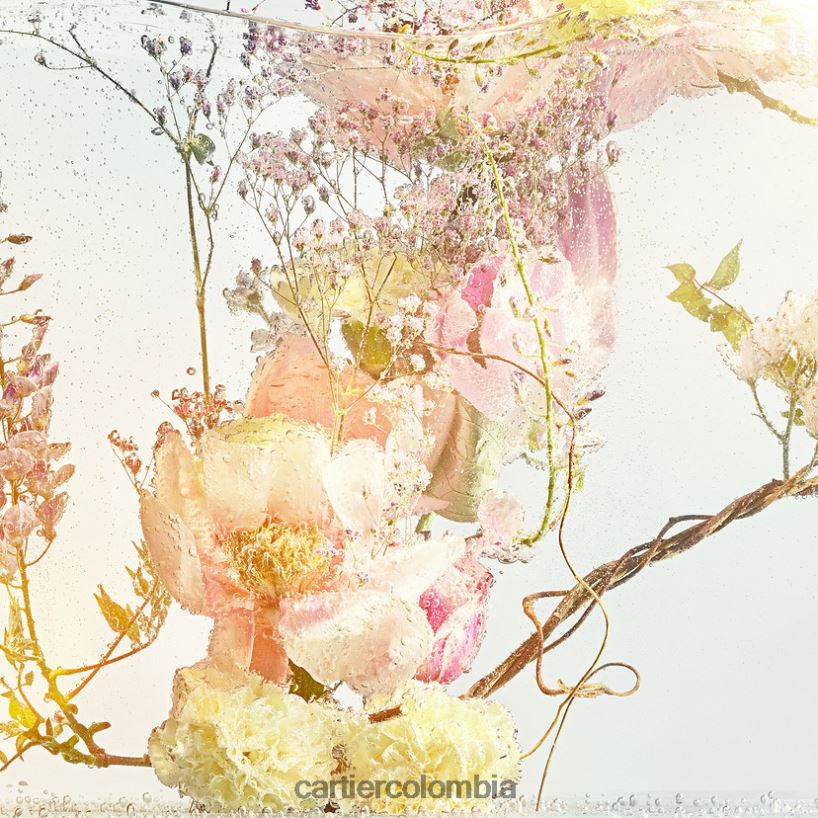 accesorios Cartier riviere despreocupación elegante V0HXJN1822