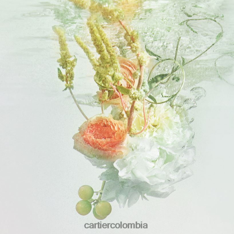 accesorios Cartier rivieres allegresse 200 ml recambio elegante V0HXJN1836