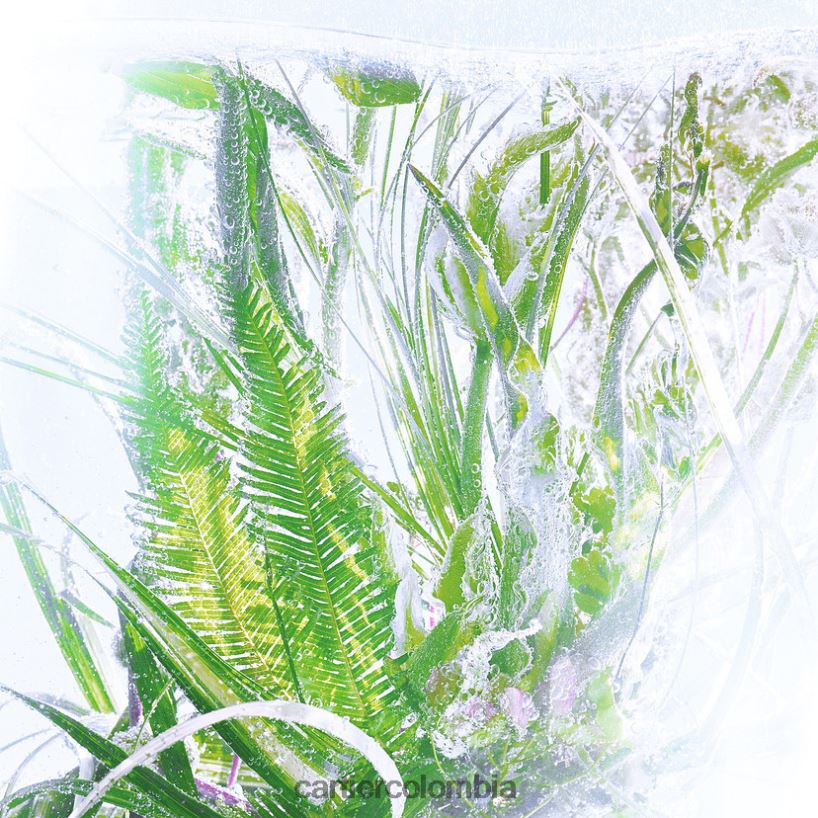 accesorios Cartier rivieres lujo 200 ml recarga elegante V0HXJN1831