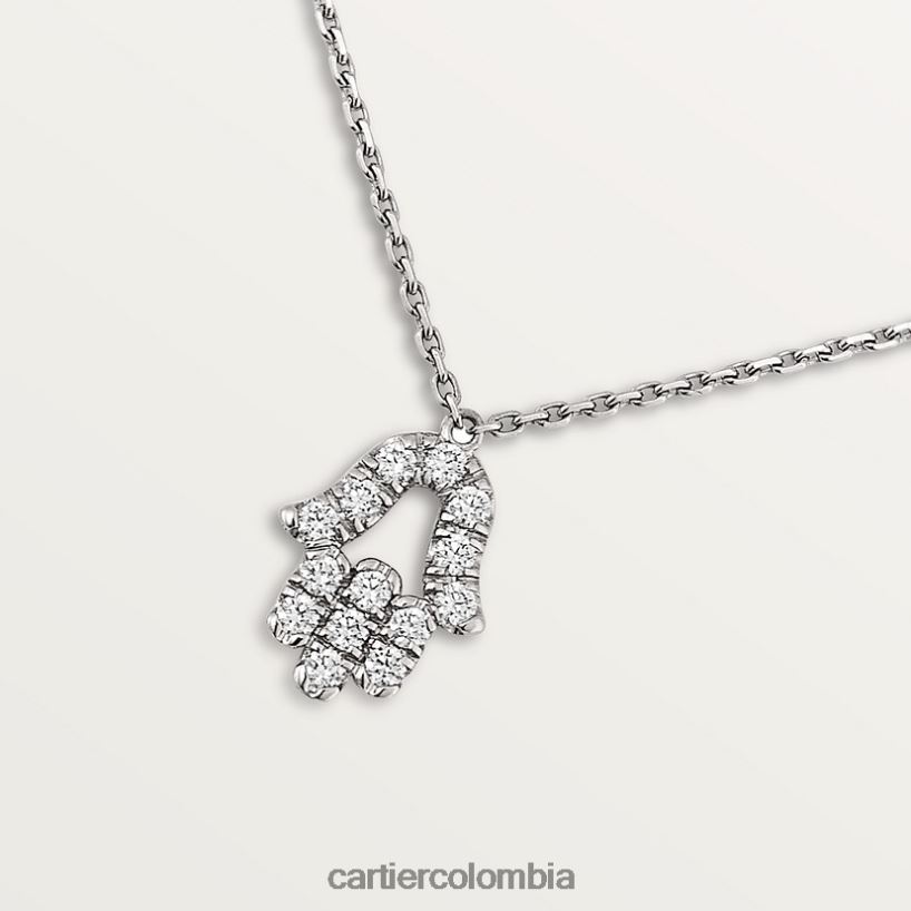 joyería Cartier collar simbolo Oro blanco V0HXJN609