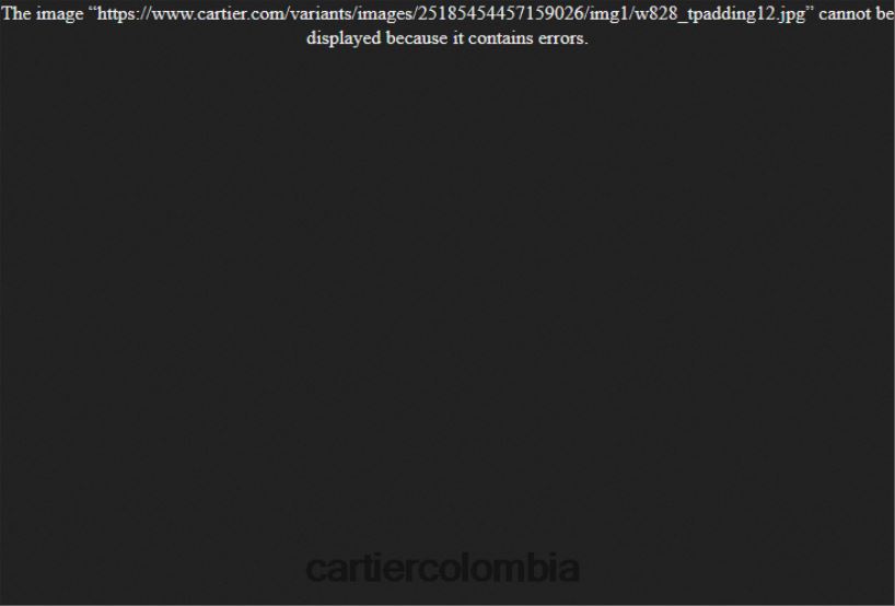 joyería Cartier pendientes agrafe elegante V0HXJN722