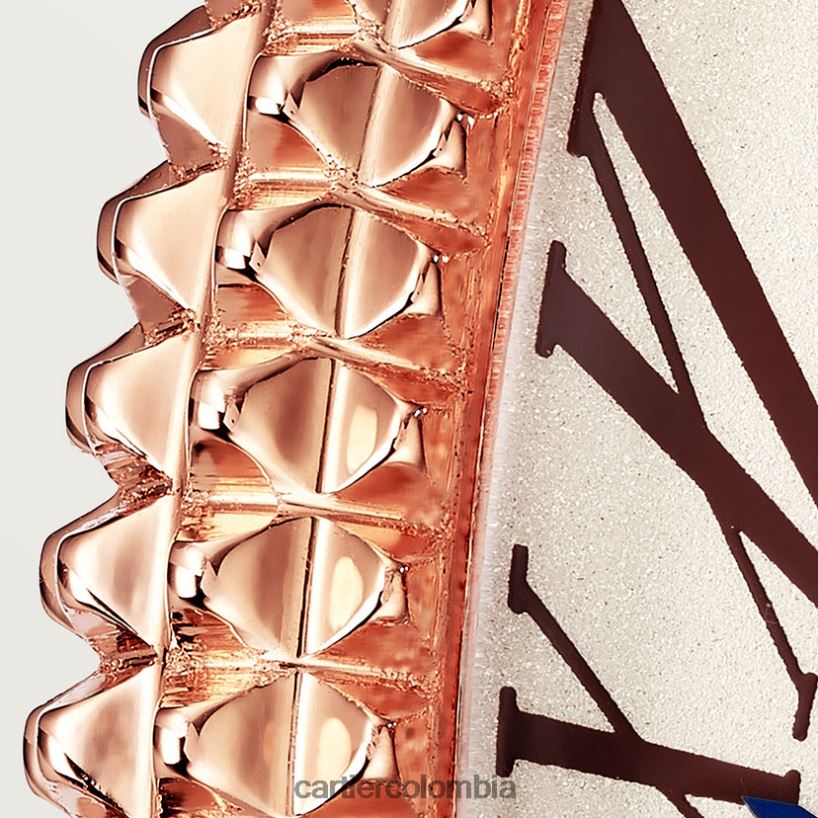 accesorios Cartier reloj baignoire allongée elegante V0HXJN1042