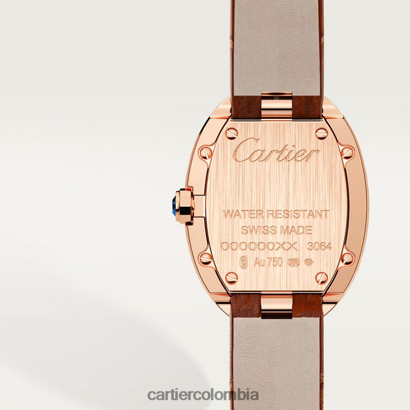 accesorios Cartier reloj baignoire, modelo pequeño elegante V0HXJN1034