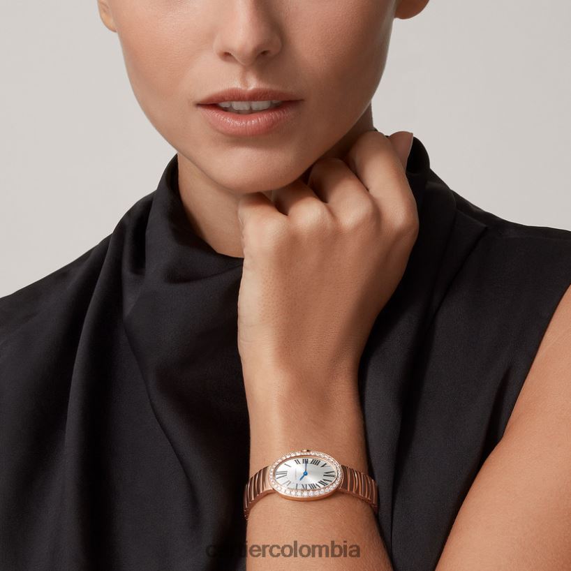 accesorios Cartier reloj baignoire, modelo pequeño elegante V0HXJN1039