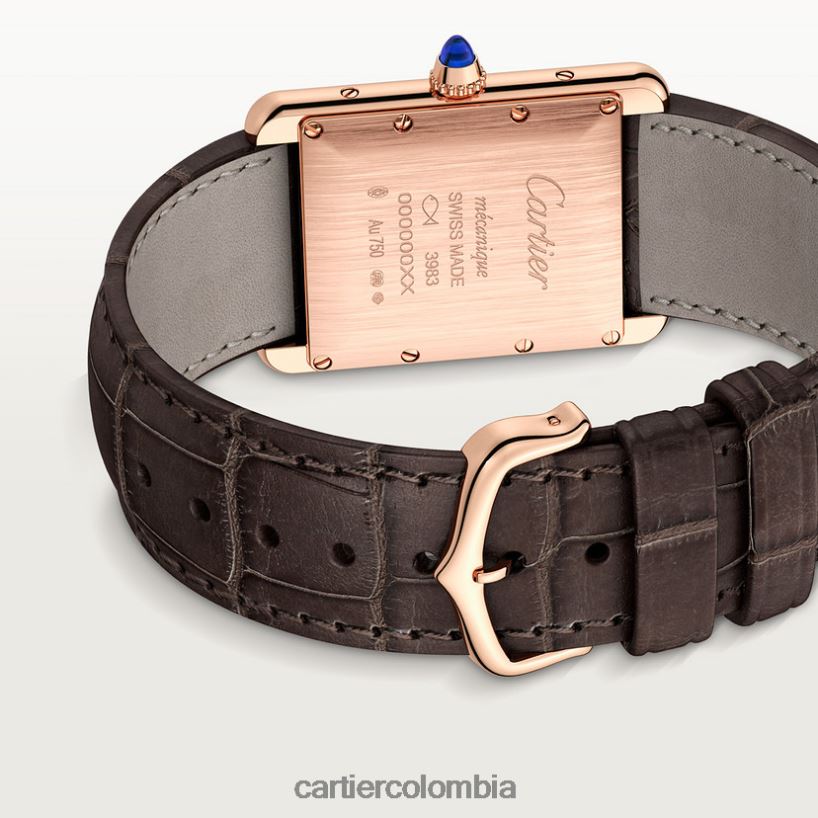 accesorios Cartier reloj louis tanque elegante V0HXJN791