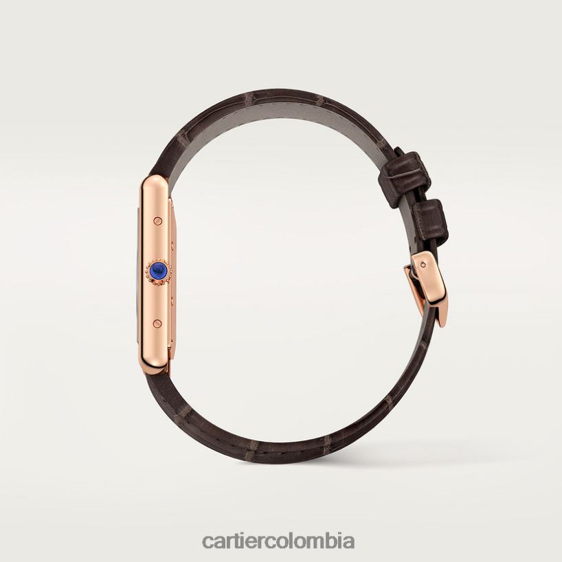 accesorios Cartier reloj louis tanque elegante V0HXJN791