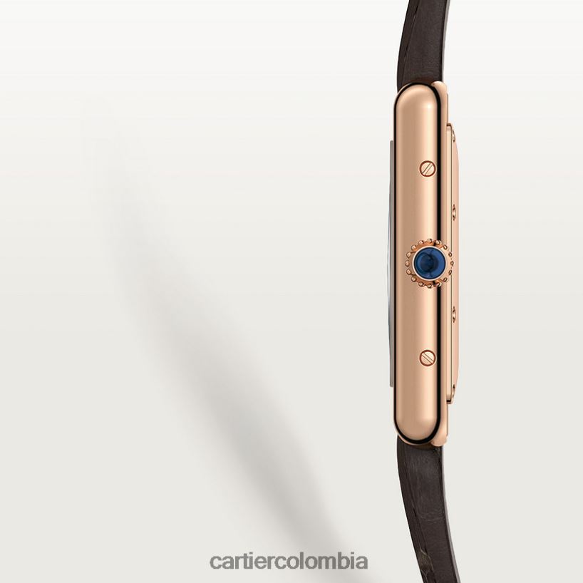 accesorios Cartier reloj louis tanque elegante V0HXJN791