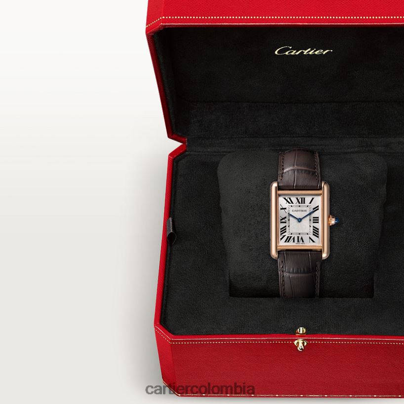 accesorios Cartier reloj louis tanque elegante V0HXJN791