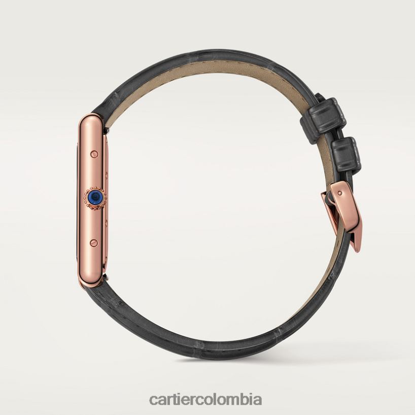 accesorios Cartier reloj louis tanque elegante V0HXJN814