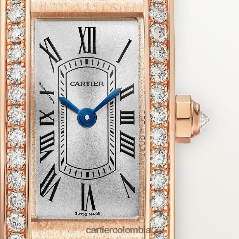 accesorios Cartier reloj tanque americano elegante V0HXJN798