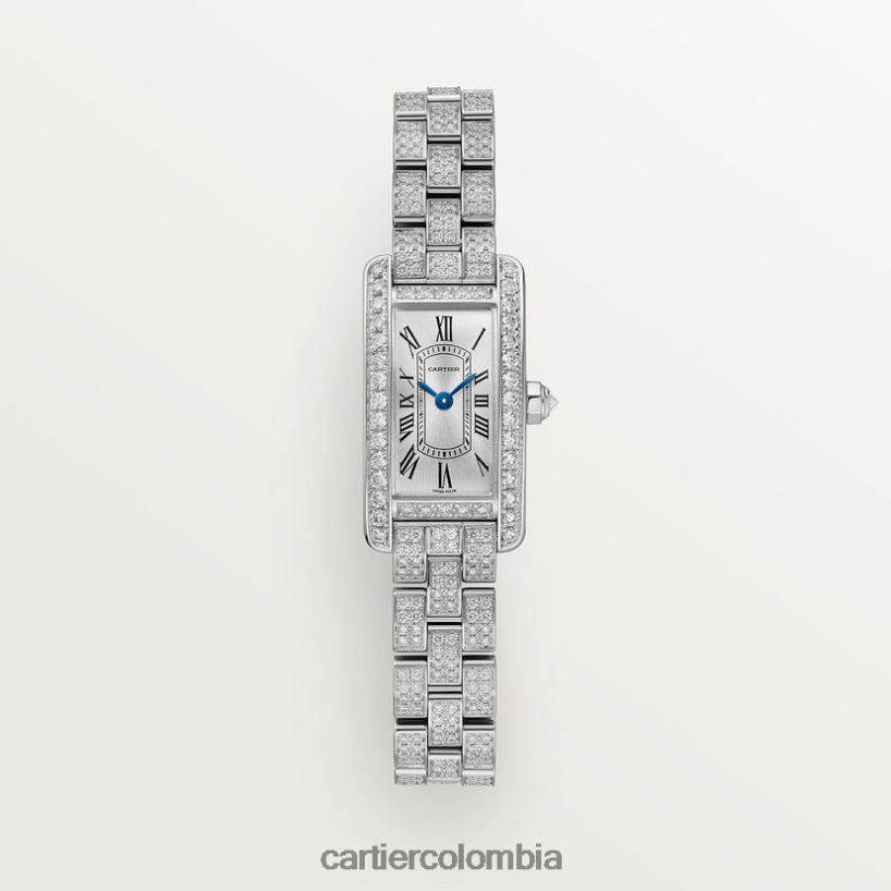 accesorios Cartier reloj tanque americano elegante V0HXJN806