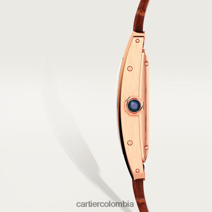 accesorios Cartier reloj tanque americano elegante V0HXJN817