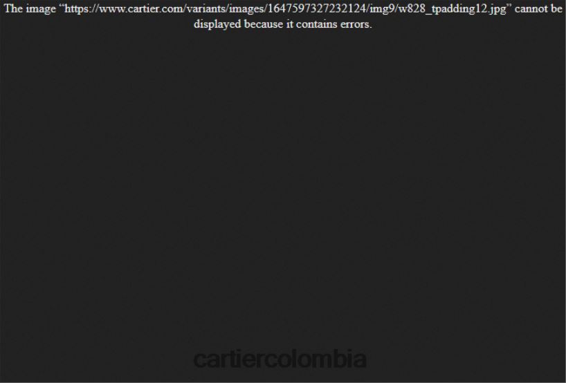 accesorios Cartier reloj globo azul elegante V0HXJN978