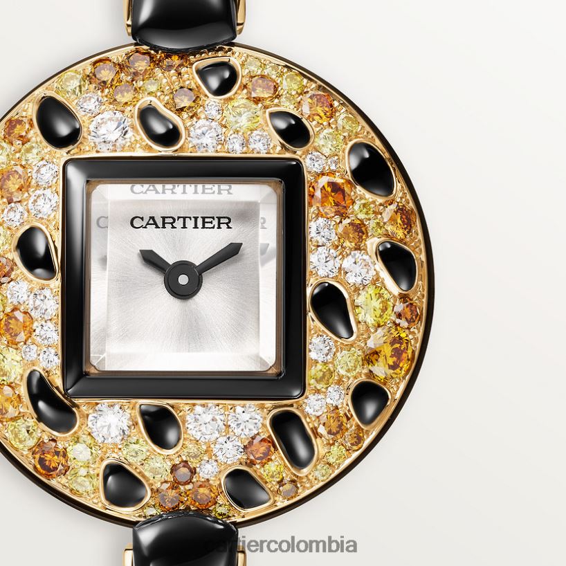 accesorios Cartier pantera joyas relojes elegante V0HXJN1012