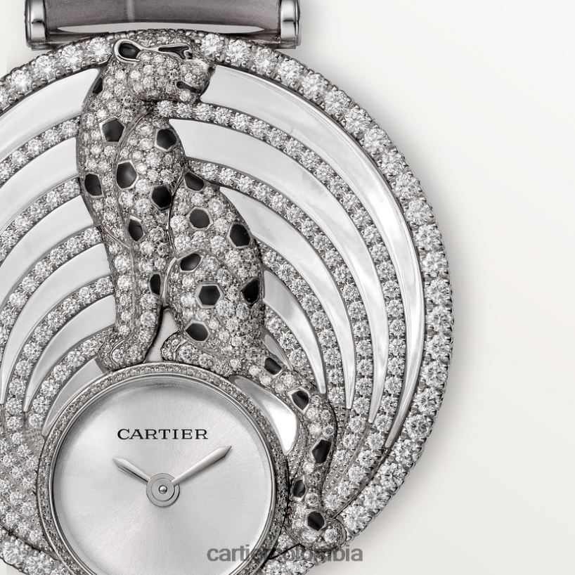 accesorios Cartier pantera joyas relojes elegante V0HXJN1015