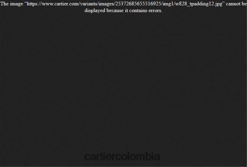 accesorios Cartier reloj joaillere panthere elegante V0HXJN1007