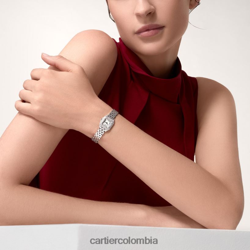 accesorios Cartier reloj pantera elegante V0HXJN845