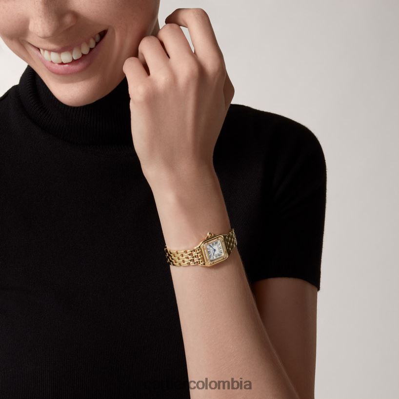 accesorios Cartier reloj pantera elegante V0HXJN849