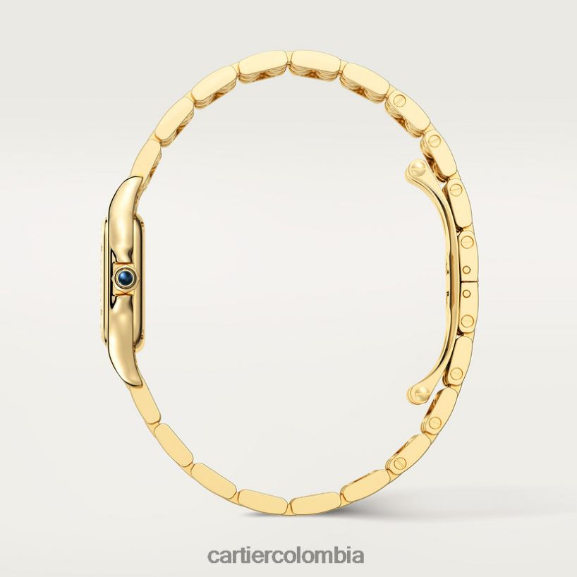 accesorios Cartier reloj pantera elegante V0HXJN853