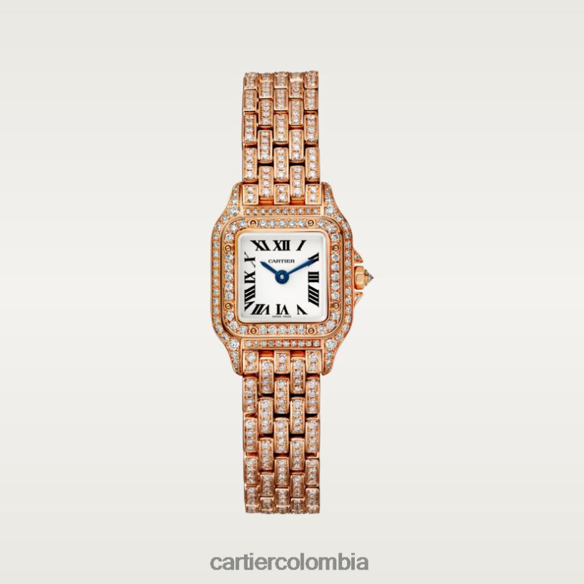 accesorios Cartier reloj pantera elegante V0HXJN854