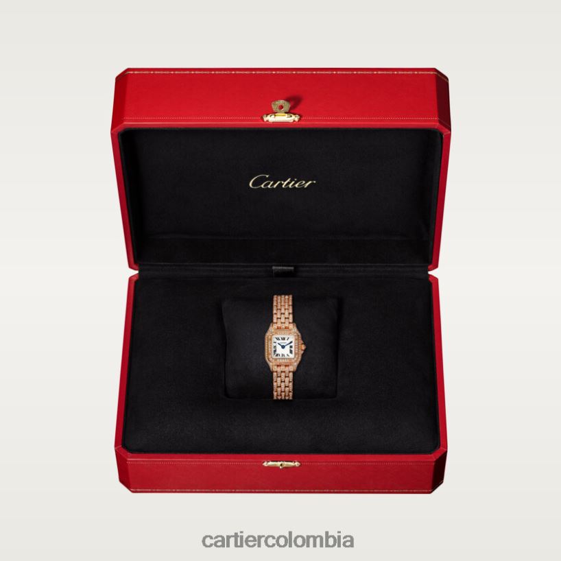 accesorios Cartier reloj pantera elegante V0HXJN854