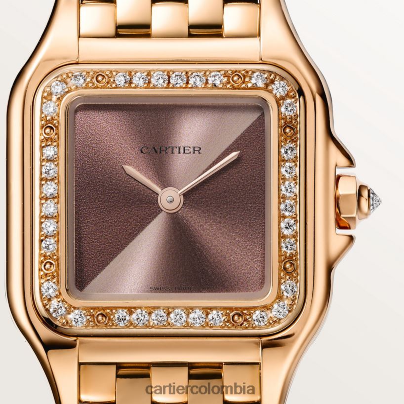 accesorios Cartier reloj pantera elegante V0HXJN855