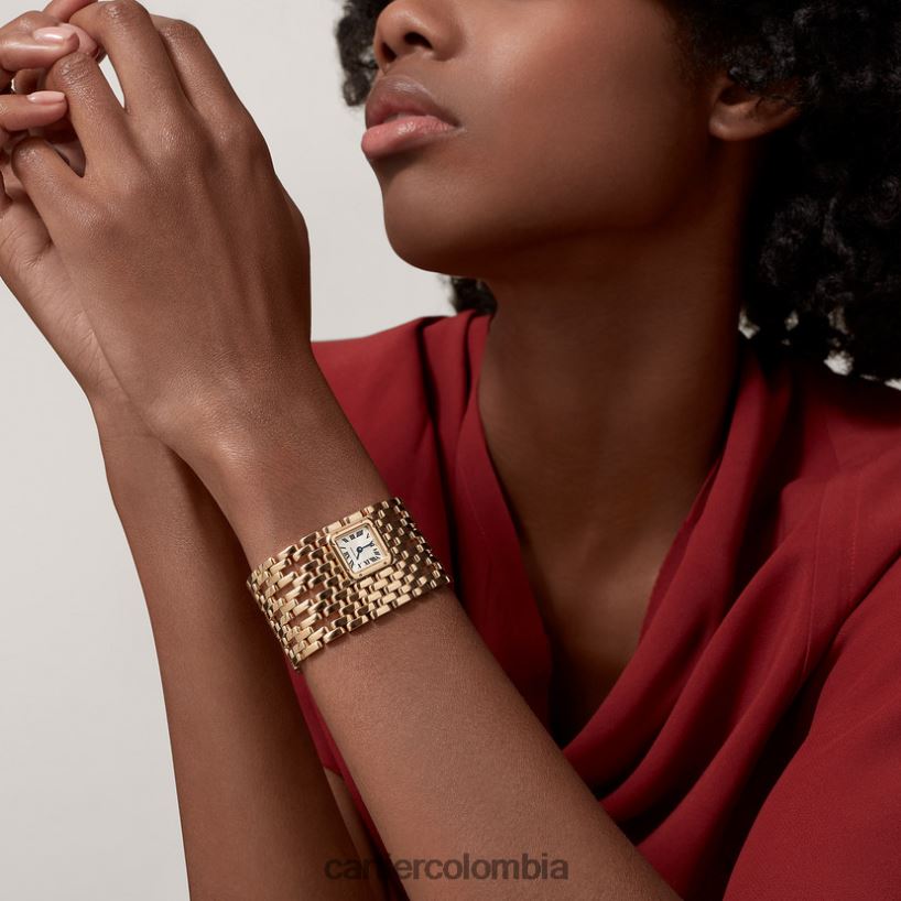 accesorios Cartier reloj pantera elegante V0HXJN857