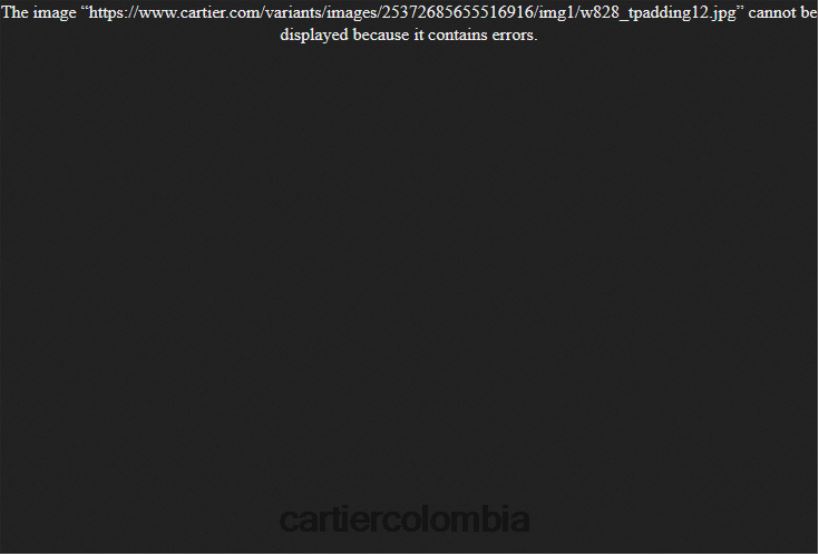 accesorios Cartier reloj panthera elegante V0HXJN988