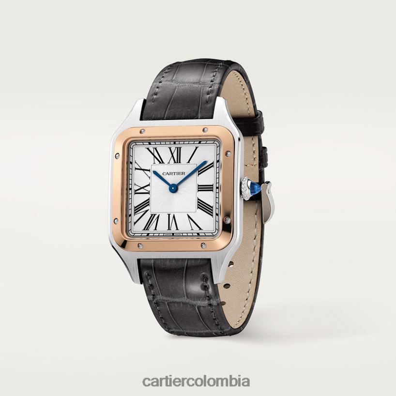 accesorios Cartier reloj santos-dumont elegante V0HXJN872