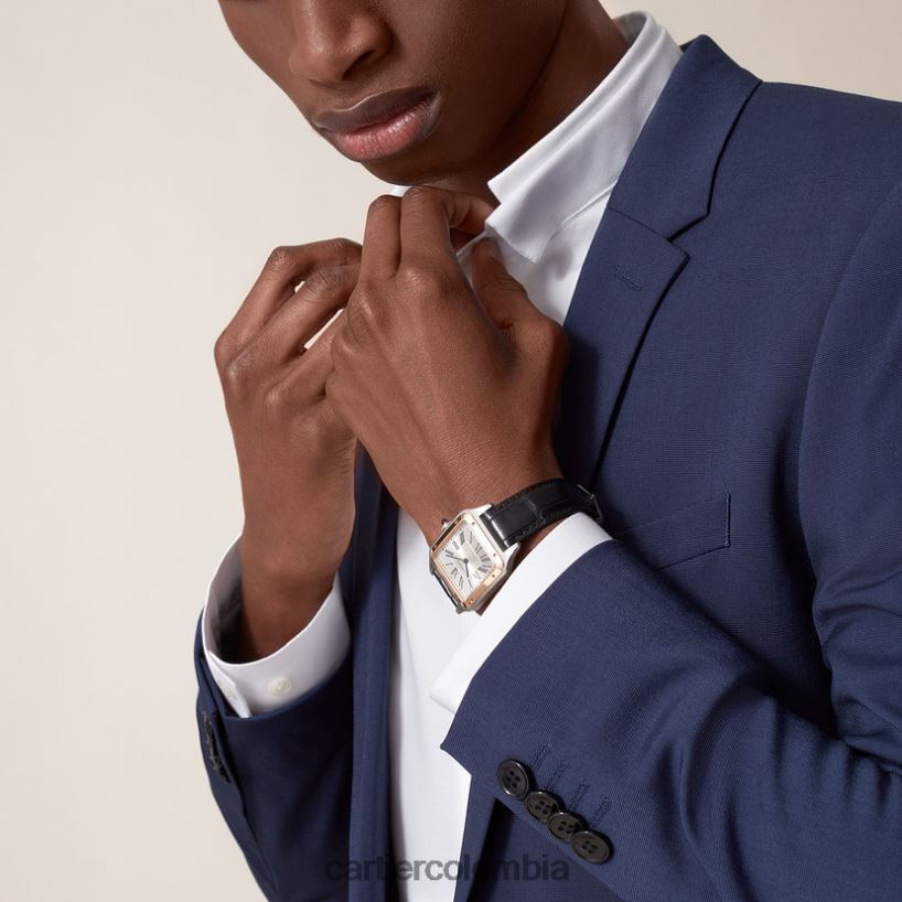 accesorios Cartier reloj santos-dumont elegante V0HXJN872