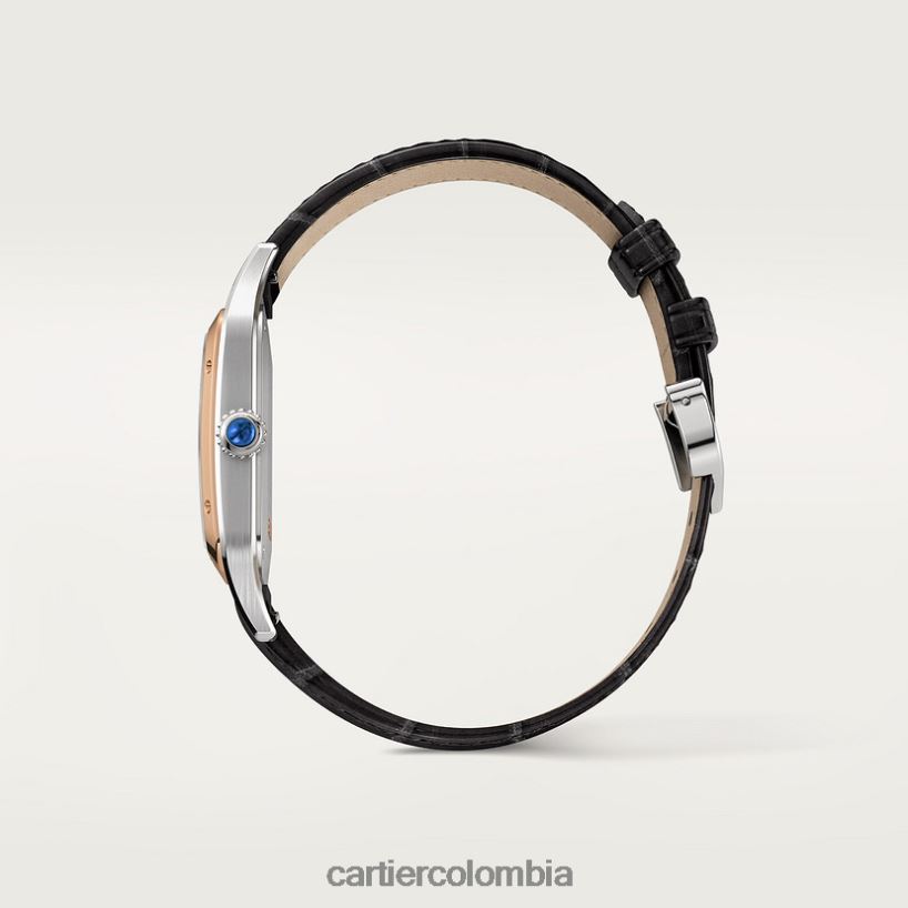 accesorios Cartier reloj santos-dumont elegante V0HXJN872