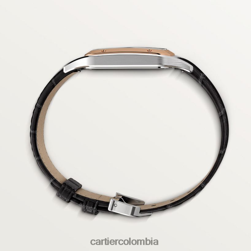 accesorios Cartier reloj santos-dumont elegante V0HXJN872