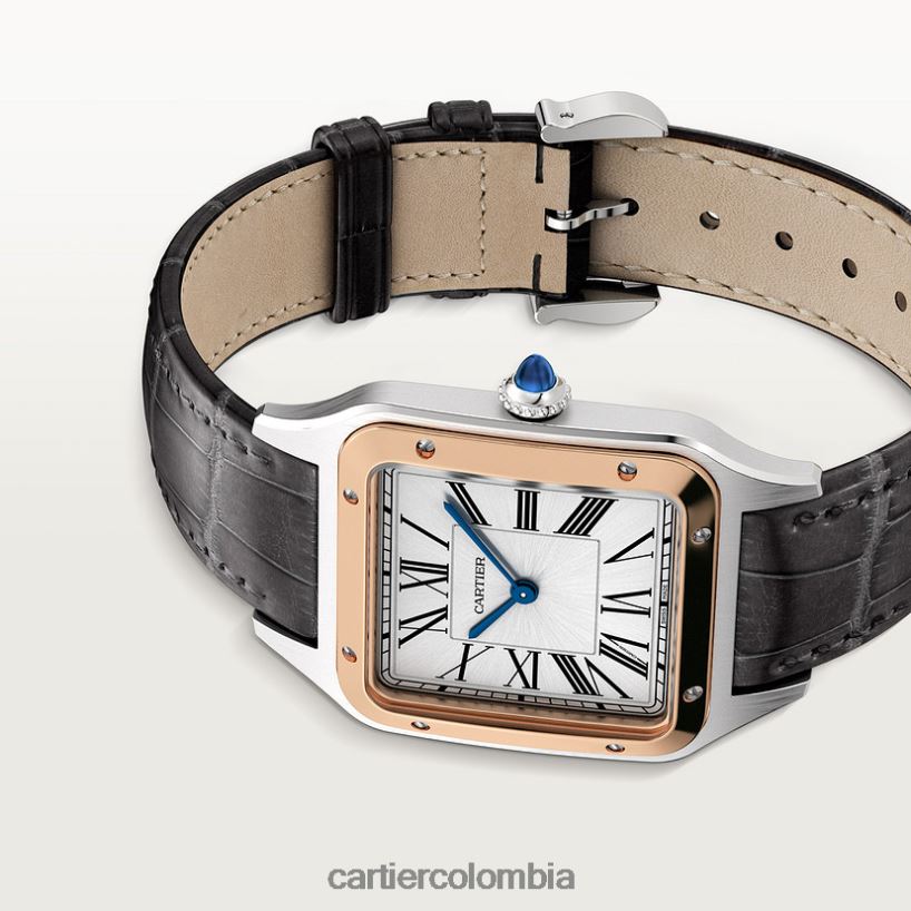 accesorios Cartier reloj santos-dumont elegante V0HXJN872