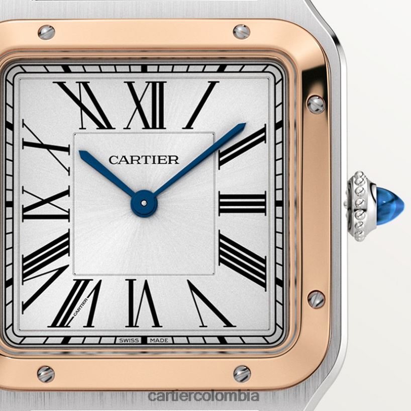 accesorios Cartier reloj santos-dumont elegante V0HXJN872
