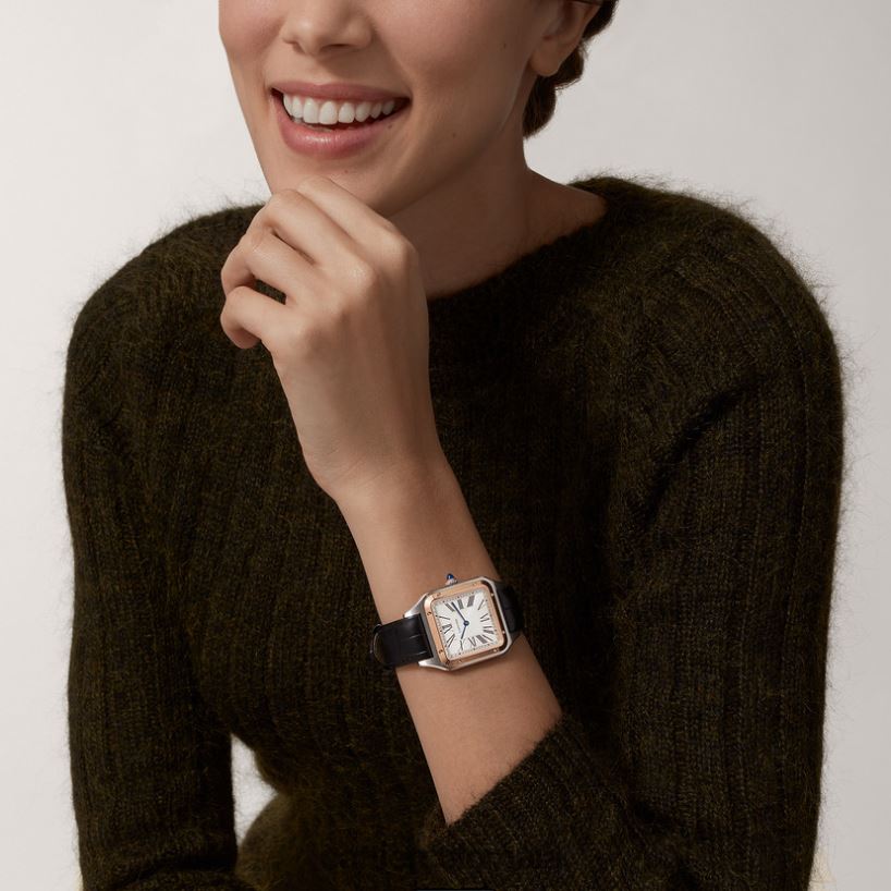 accesorios Cartier reloj santos-dumont elegante V0HXJN872