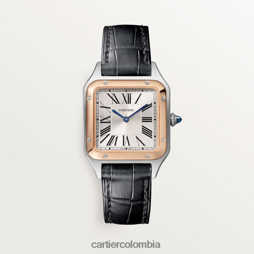 accesorios Cartier reloj santos-dumont elegante V0HXJN873
